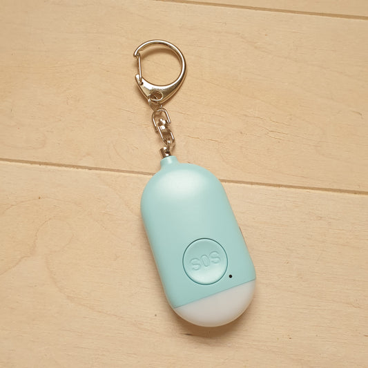 Alarm and light keychain