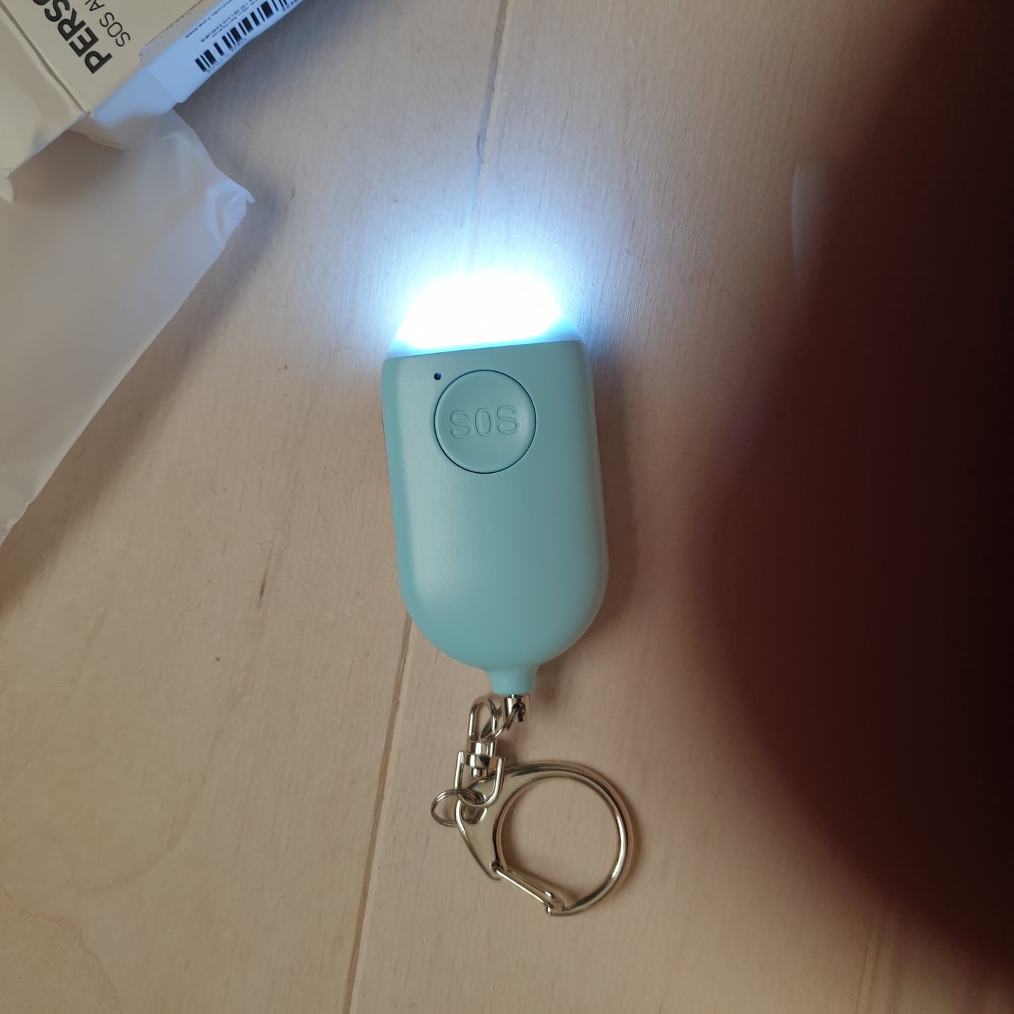 Alarm and light keychain