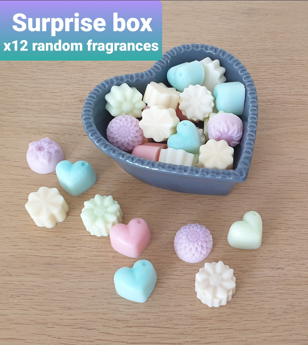 Surprise box : 12 wax melts