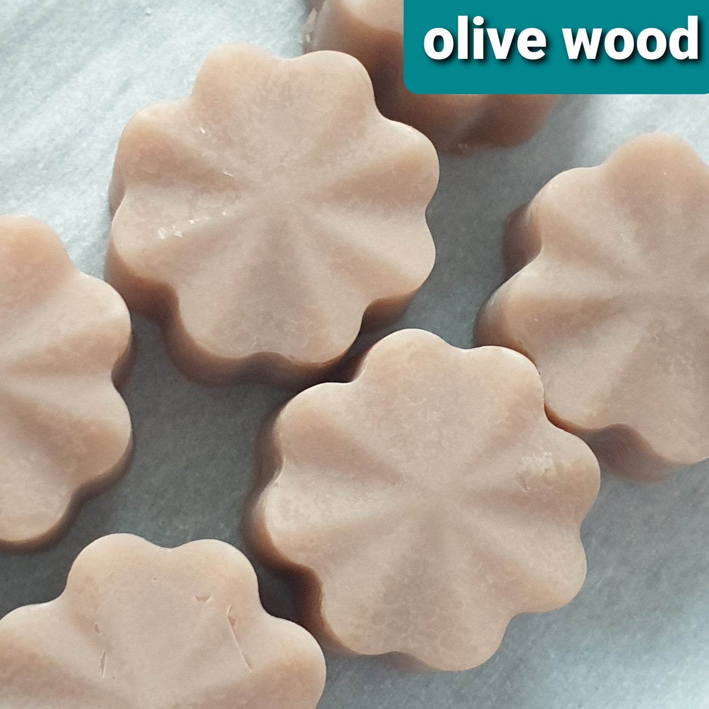 1 Scented wax melts woody fragrance 0.23oz